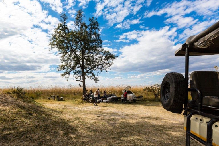 Botswana safari: bush picnic beside safari vehicle under tree
