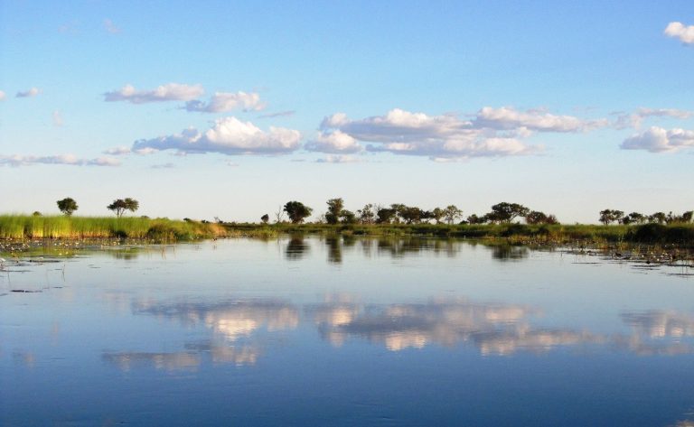 Botswana safari: delta lagoon with lilies and cloud reflections
