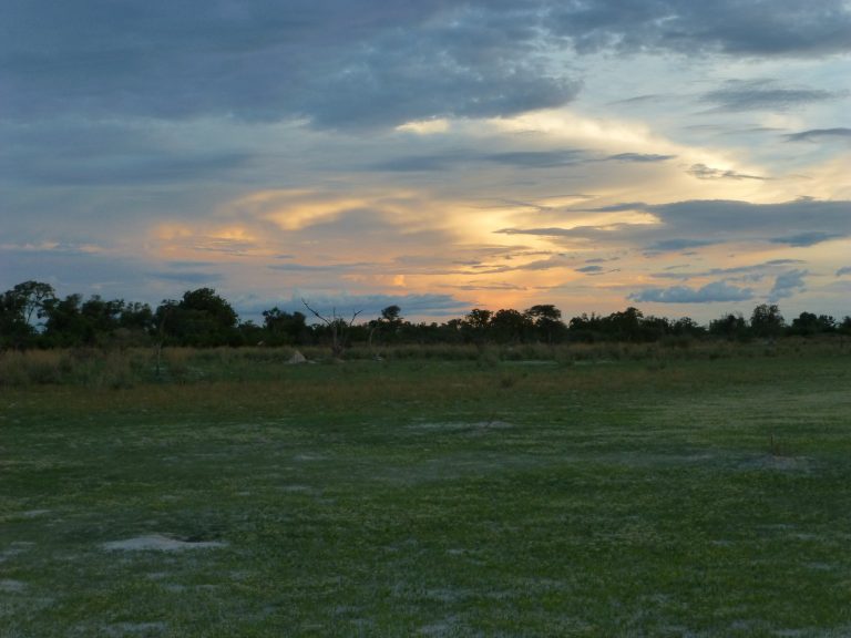 Botswana safari: dusk clouds over green floodplain