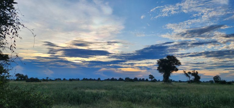 Botswana safari: dusk clouds over green grassland