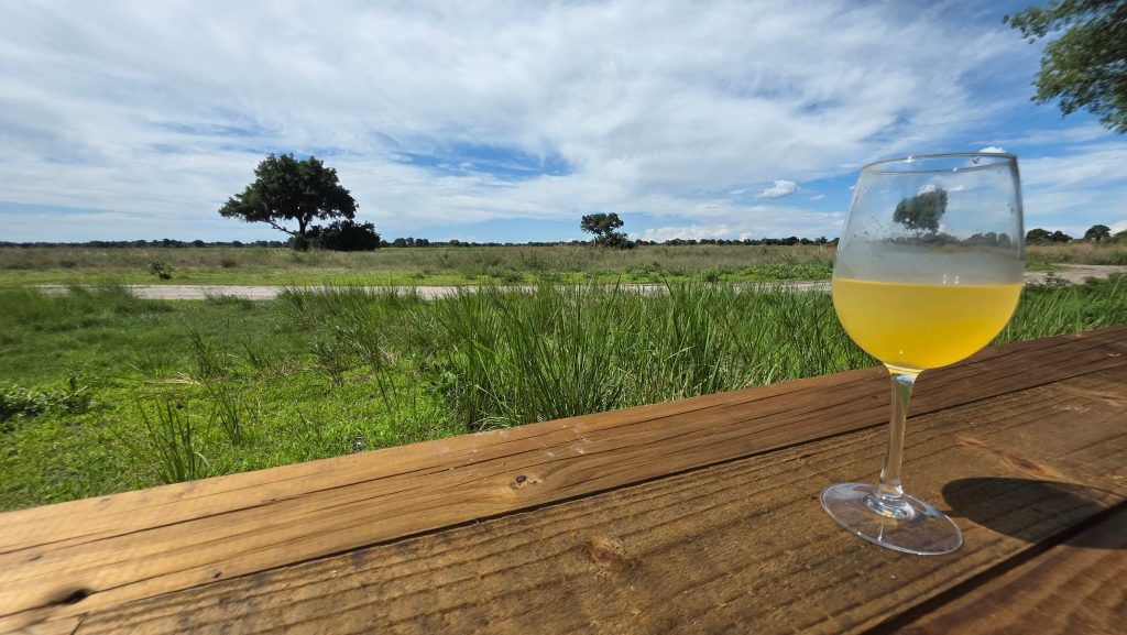 Botswana safari: glass of white wine on deck rail above floodplain