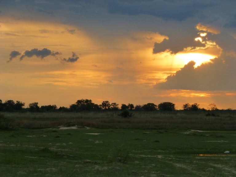 Botswana safari: golden sunset behind clouds over grassland