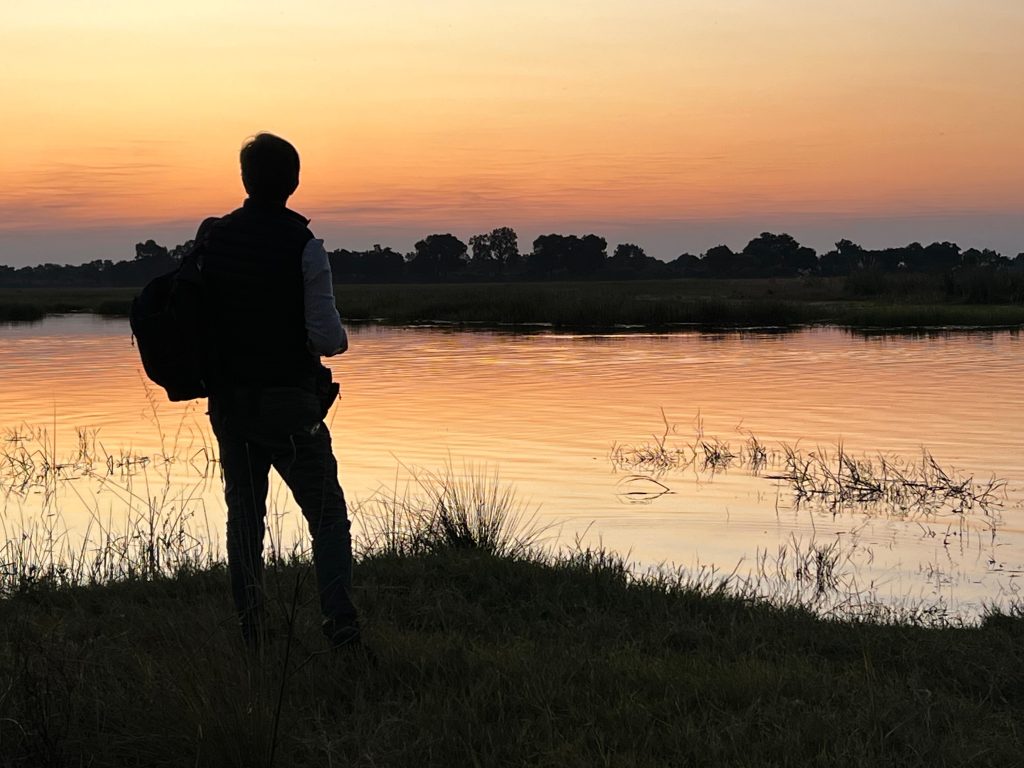 Botswana safari: guest silhouette watching sunset over lagoon
