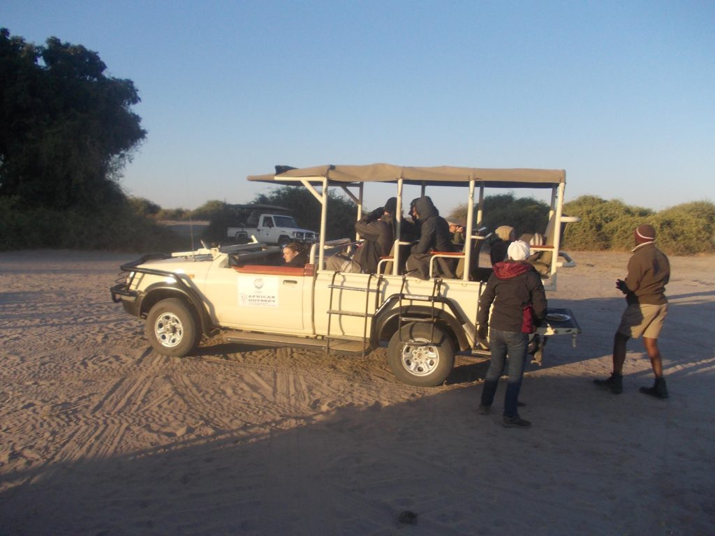 Botswana safari: guests in open game drive vehicle on sandy track