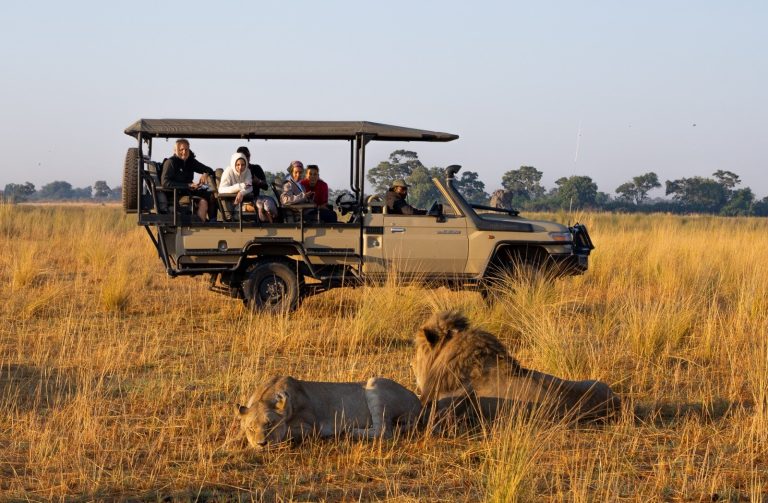 Botswana safari: guests in vehicle watching two lions