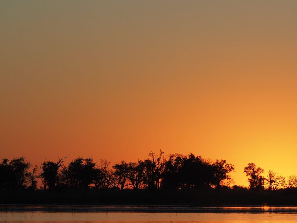Botswana safari: orange sunset over delta treeline