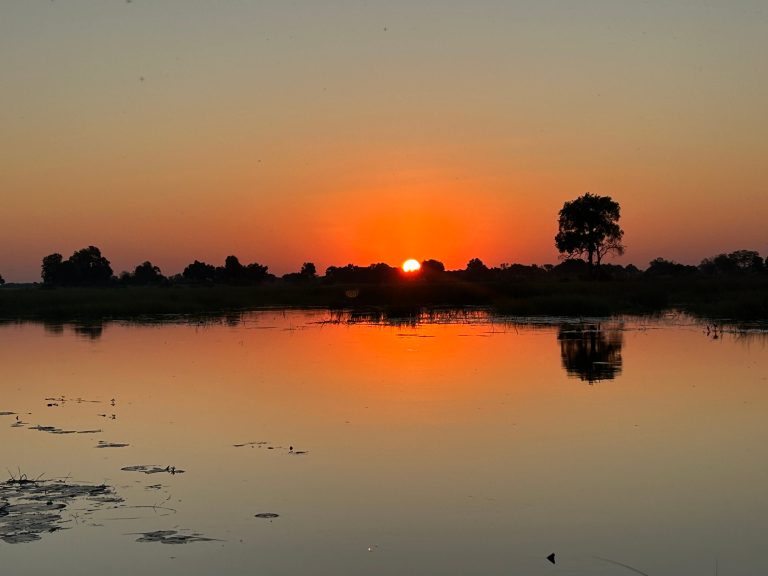 Botswana safari: orange sunset reflected in delta lagoon