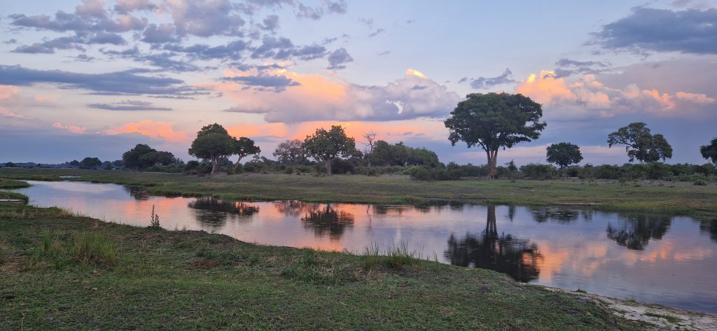 Botswana safari: pink clouds reflected in delta channel at dusk
