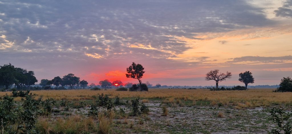 Botswana safari: red sunrise over open floodplain