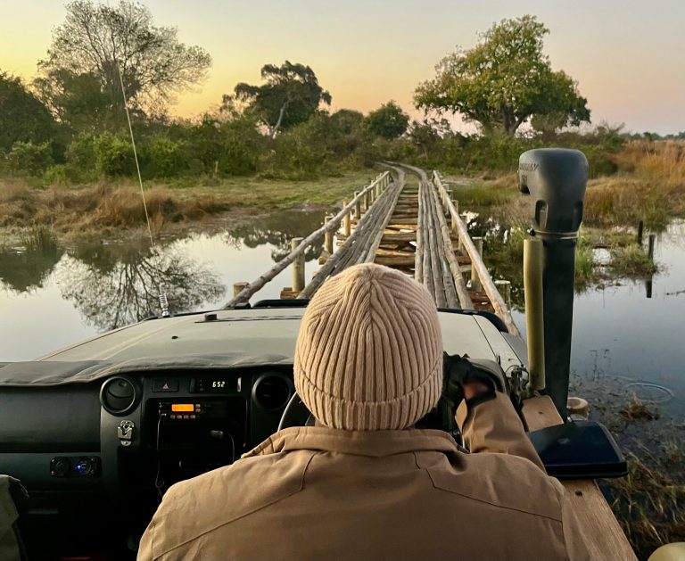 Botswana safari: safari vehicle crossing wooden log bridge at dawn