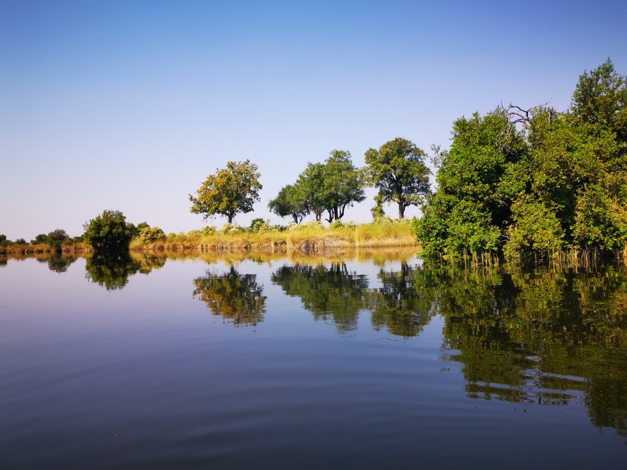 Botswana safari: still river channel with trees reflected