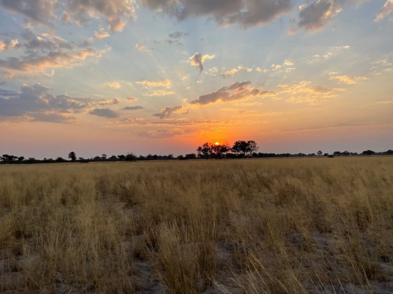 Botswana safari: sunrays over open grassland at sunset