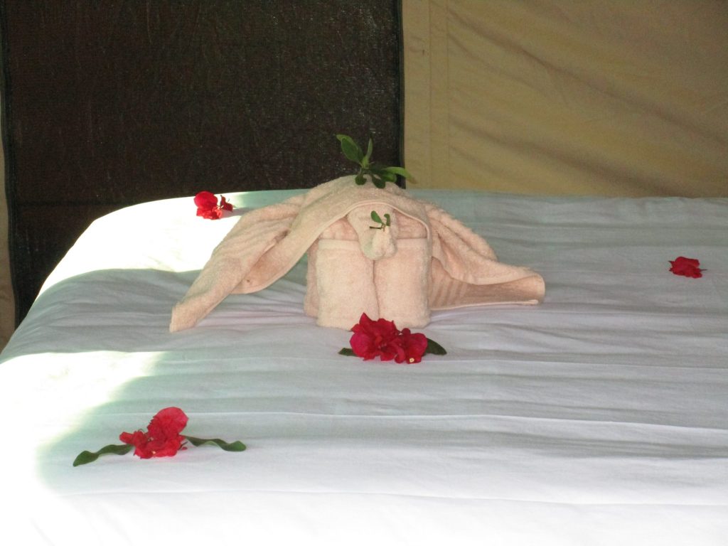 Botswana safari: towel elephant and red flowers on bed