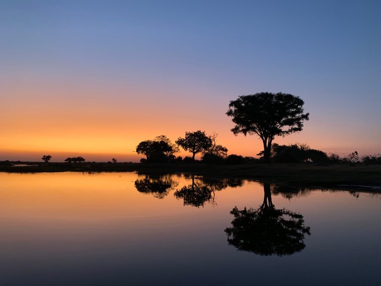 Botswana safari: tree reflected in still water after sunset