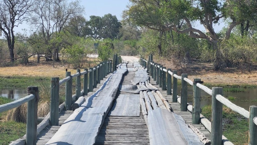 Botswana safari: wooden pole bridge over delta channel